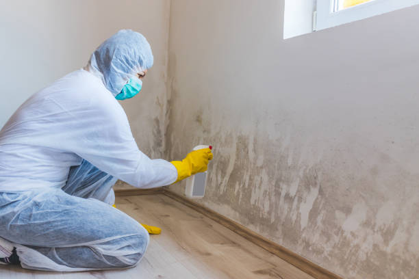Licensed Mold Removal service in Keller, TX - WQB Mold Removal