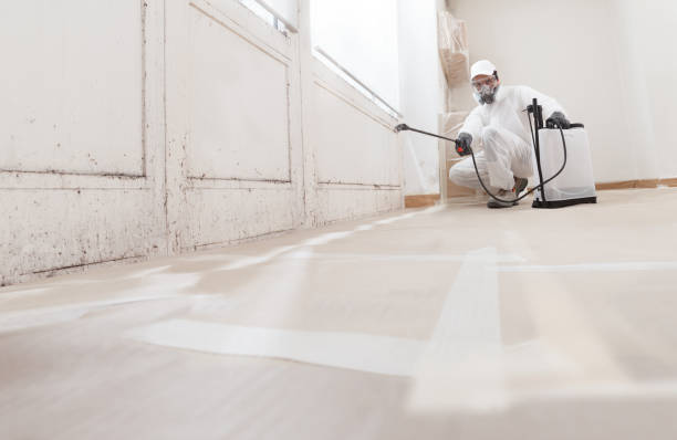24/7 Emergency Mold Removal experts in Keller, TX