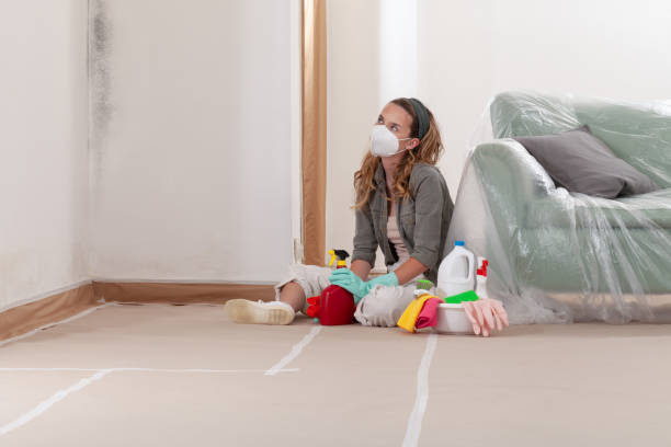 Reliable Mold Removal contractor in Keller, TX by WQB Mold Removal